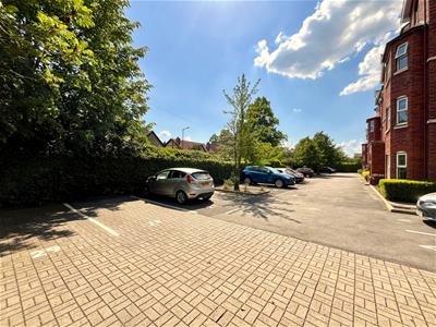 Picture 20